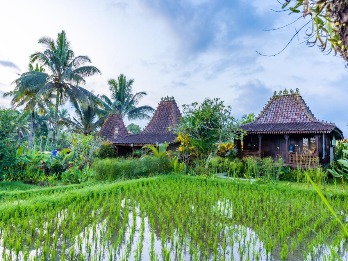 Villa Neyang Ubud Buitenkant foto