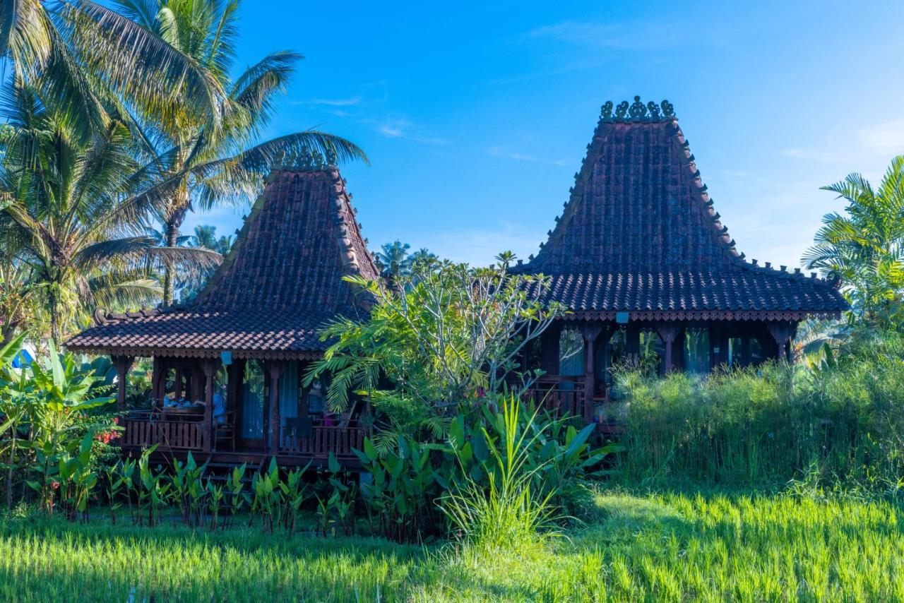 Villa Neyang Ubud Buitenkant foto