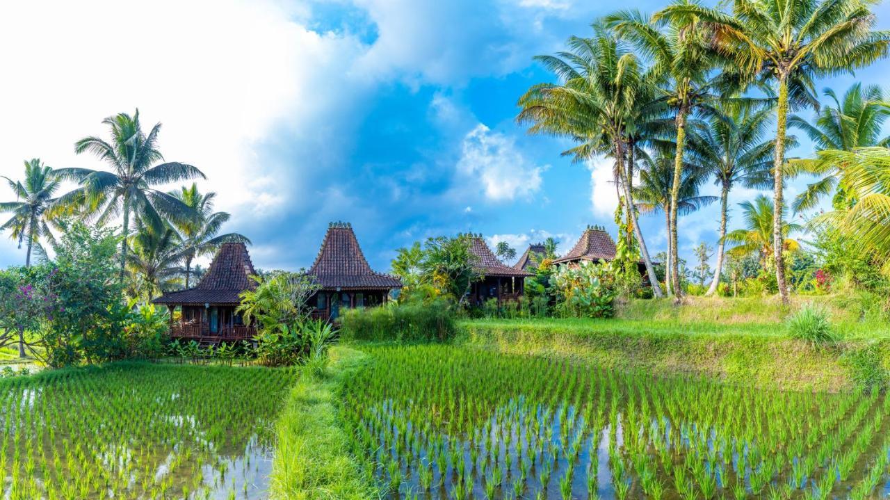 Villa Neyang Ubud Buitenkant foto
