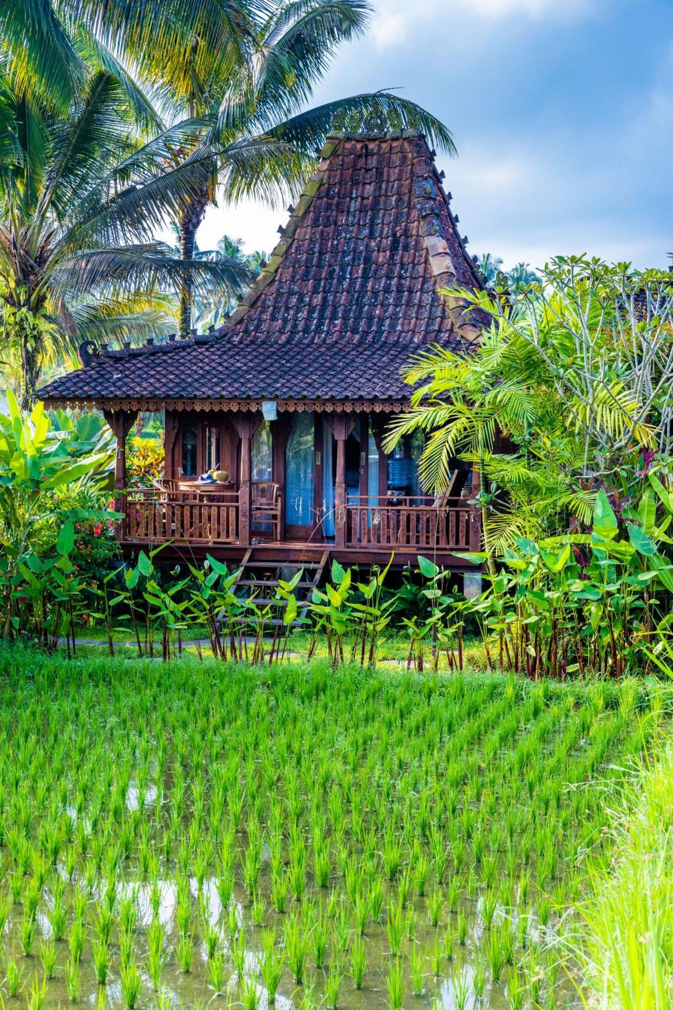 Villa Neyang Ubud Buitenkant foto