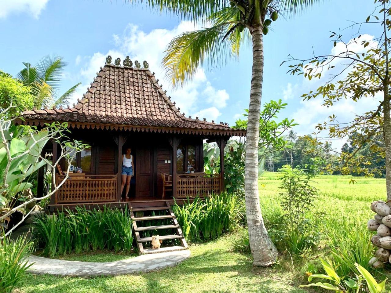 Villa Neyang Ubud Buitenkant foto