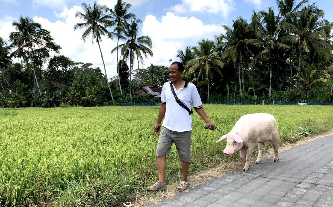 Villa Neyang Ubud Buitenkant foto