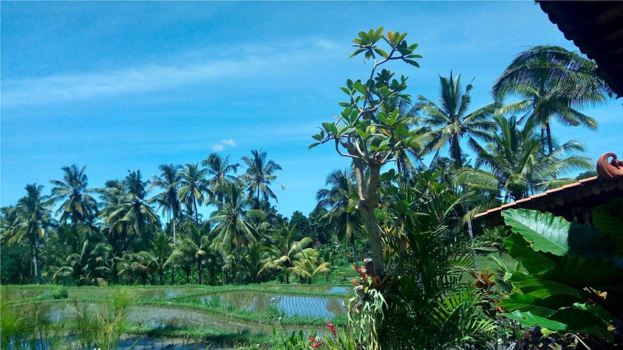 Villa Neyang Ubud Buitenkant foto